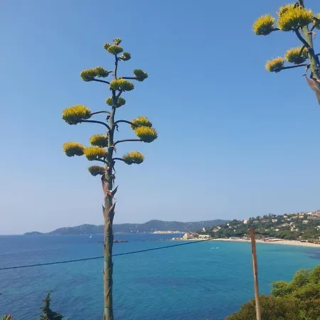 *joli Studio A La Faviere/proche Plage* * בורם-לה-מימוזה